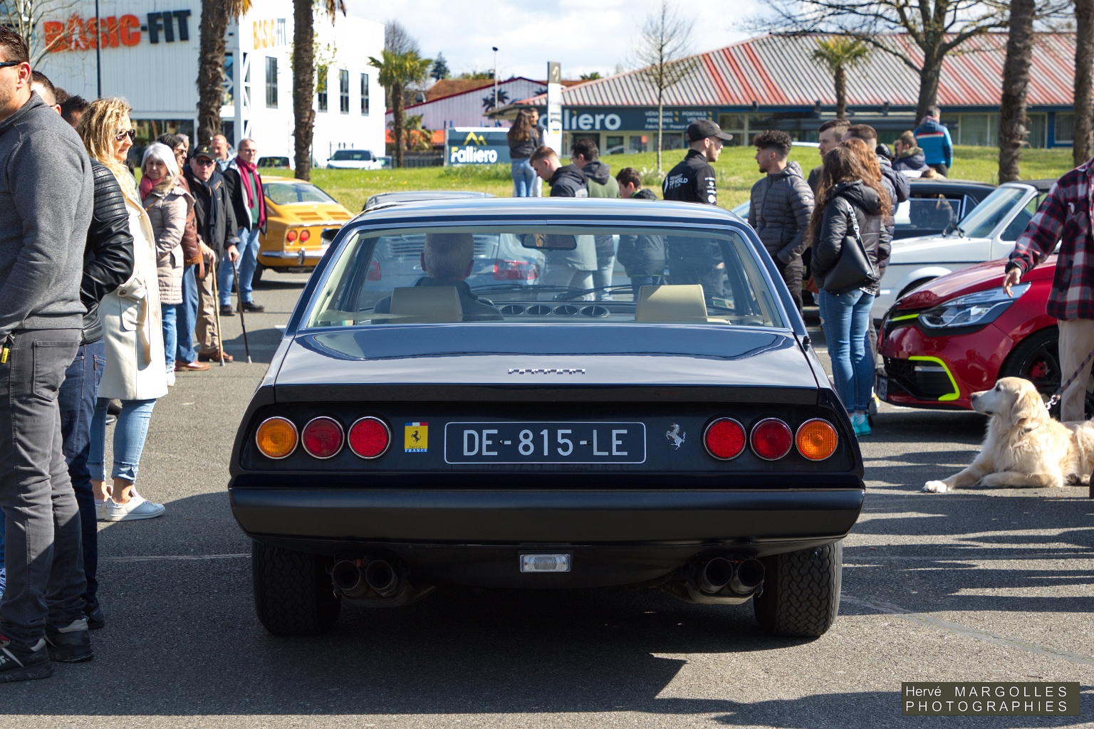 Ferrari 365 - 02.jpg